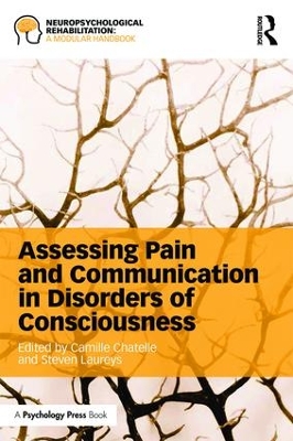 Assessing Pain and Communication in Disorders of Consciousness by Camille Chatelle