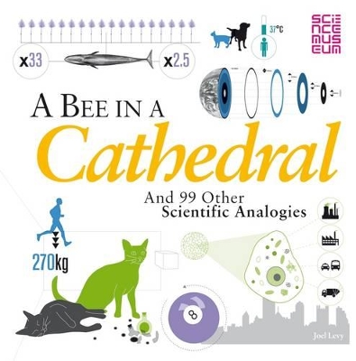 Bee in a Cathedral book