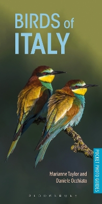 Birds of Italy book
