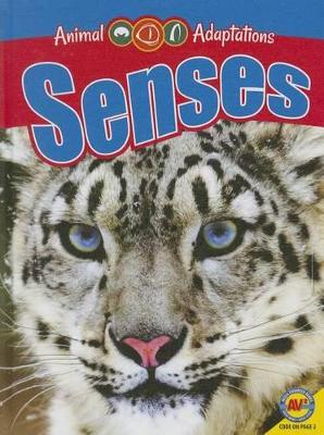 Senses book