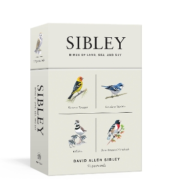 Sibley Birds Of Land, Sea, And Sky book