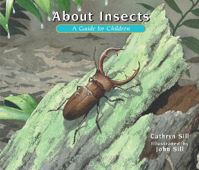 About Insects book