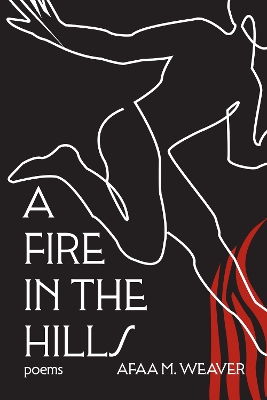 A Fire in the Hills book