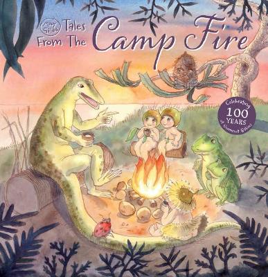 May Gibbs Tales from the Camp Fire book