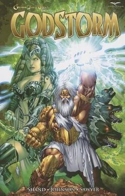 Grimm Fairy Tales Presents: Godstorm book