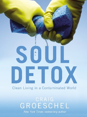 Soul Detox book