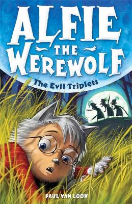 Evil Triplets book