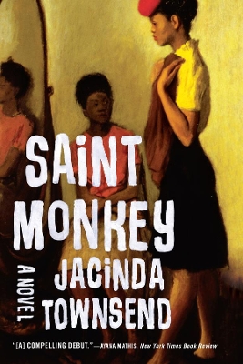 Saint Monkey book