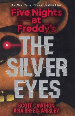 Silver Eyes book
