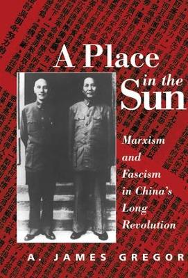 Place In The Sun book