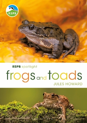 RSPB Spotlight Frogs and Toads by Mr Jules Howard