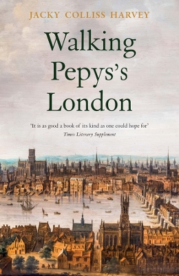 Walking Pepys's London book