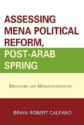 Assessing Mena Political Reform, Post-Arab Spring book