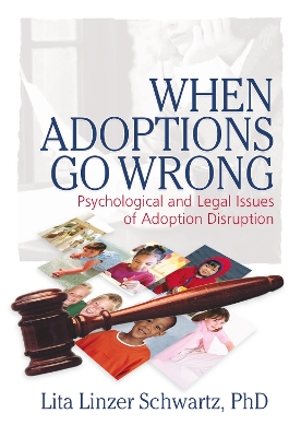 When Adoptions Go Wrong by Lita Linzer Schwartz