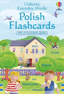 Everyday Words in Polish Flashcards book