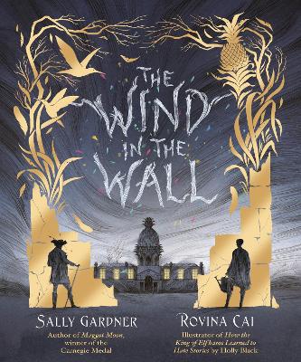 The Wind in the Wall book