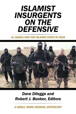 Islamist Insurgents on the Defensive book