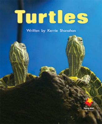 Turtles book