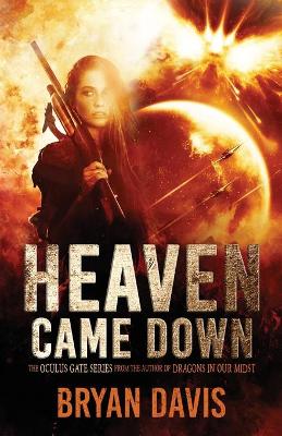 Heaven Came Down book