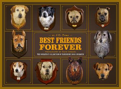Best Friend Forever book