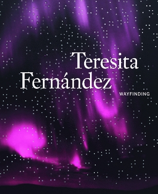 Teresita Fernandez book