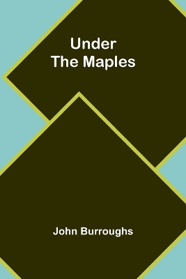 Mysteries of Bee-keeping Explained (Edition1) book