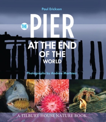 Pier at the End of the World by Paul Erickson