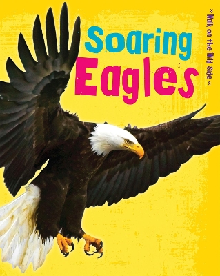 Soaring Eagles book
