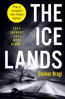 The Ice Lands book