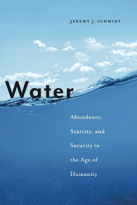 Water: Abundance, Scarcity, and Security in the Age of Humanity book