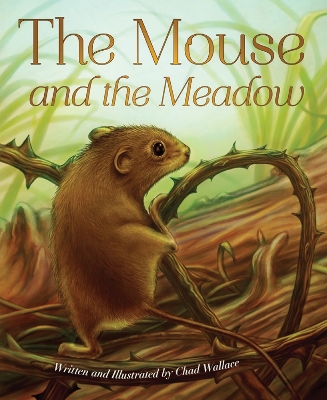 Mouse and the Meadow book
