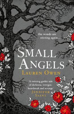 Small Angels: 'A twisting gothic tale of darkness, intrigue, heartbreak and revenge' Jennifer Saint book