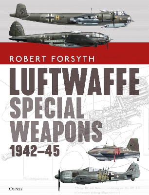 Luftwaffe Special Weapons 1942–45 book