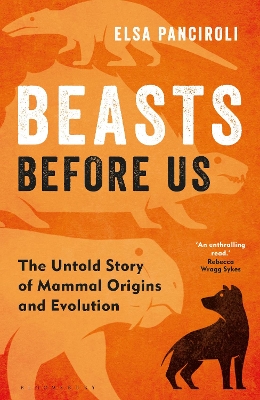 Beasts Before Us: The Untold Story of Mammal Origins and Evolution by Elsa Panciroli