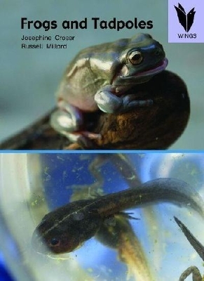 Frogs and Tadpoles book