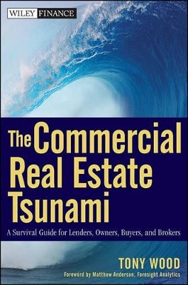 Commercial Real Estate Tsunami book