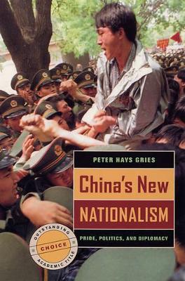 China's New Nationalism book