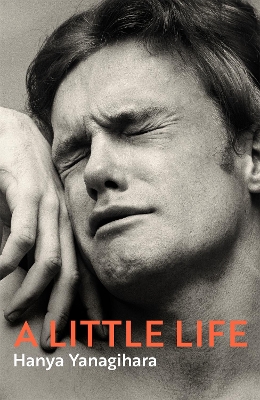 Little Life book