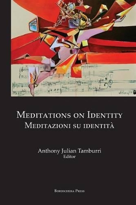 Meditations on Identity book