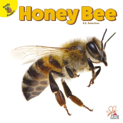 Honey Bee by R E Robertson