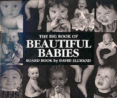 The Big Book of Beautiful Babies by David Ellwand