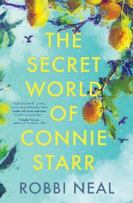 The Secret World of Connie Starr book