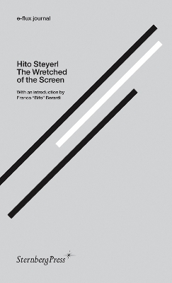 Hito Steyerl - the Wretched of the Screen. E-flux Journal book