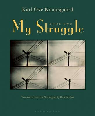 My Struggle: Book Two book