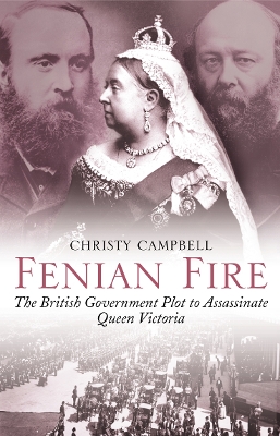 Fenian Fire book