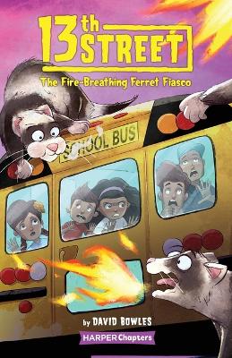 13th Street #2: The Fire-Breathing Ferret Fiasco book