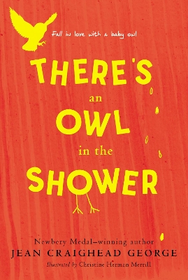 There's an Owl in the Shower book