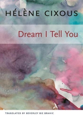 Dream I Tell You book