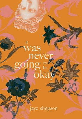 it was never going to be okay book