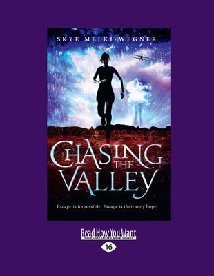 Chasing The Valley: Chassing the Valley (book 1) by Skye Melki-Wegner